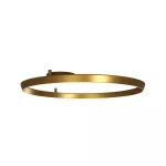 Surface-mounted wall light Circular Outward Indoor Surface Ø900 LED 53W 3000K DALI-2 Gold 2770lm