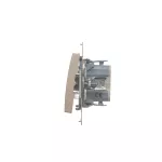 Simon 54 WMDL-0700xx-044 Łącznik krzyżowy bez piktogramu (moduł) 10AX, 250V~, szybkozłącza; złoty mat