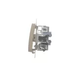 Simon 54 WMDL-06120x-044 Łącznik schodowy podwójny z podświetleniem bez piktogramu (moduł) 10AX, 250V~, zaciski śrubowe; złoty mat