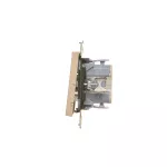 Simon 55 WMDL-0107xx-144 Łącznik świecznikowy (moduł) 10 AX, 250 V~, szybkozłącza; Szampański mat