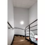 Oprawa ścienna o dużej odporności na uderzenia Surface Compact 300 24W 4000K IK10 IP65