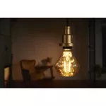 Lampa VINTAGE 1906 CL DIAMOND Filament szkło przezroczyste GOLD 40 non-dim 4,5W 825 E27