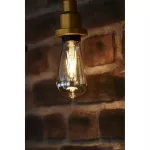 Lampa VINTAGE 1906 CL A160 Filament szkło przezroczyste GOLD 28 non-dim 5,5W 820 E27