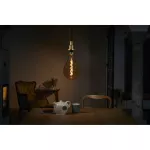 Lampa VINTAGE 1906 CL A160 Filament szkło przezroczyste GOLD 28 non-dim 5,5W 820 E27