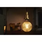 Lampa VINTAGE 1906 CL PINECONE Filament szkło przezroczyste GOLD 40 non-dim 4,5W 825 E27
