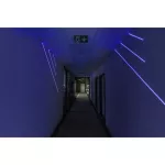 Pasek LED Performance LS PFM-1000/RGBW/840/5