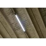 Oprawa DAMP PROOF 5TH 1200 32W 840 IP65 GY