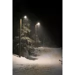 Oprawa uliczna STREETLIGHT FLEX SMALL 25W 730 RV25ST ALW