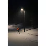 Oprawa uliczna STREETLIGHT FLEX SMALL 25W 730 RV25ST ALW