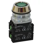PROMET Przycisk NEF30-UKX2Y zielony