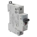 WYŁĄCZNIK NADPRĄDOWY S 301 1P C 2A 6000A SERII DX3