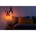 Lampa VINTAGE 1906 GLOBE Filament szkło przezroczyste 15 dim 4,5W/816 E27