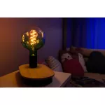 Lampa VINTAGE 1906 Globe ET 124 18 Filament DIM 4.5W 816 Green E27