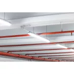 Oprawa SPOT ADJ P 8W 940 PS DIM IP20 WT