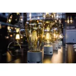 Lampa VINTAGE 1906 dim CL GLOBE125 Filament szkło przezroczyste GOLD 55 dim 7W 825 E27