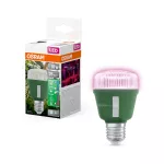 Lampa LED STAR GROW T LAMP 10W Clear E27