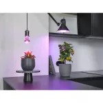 Lampa LED STAR GROW T LAMP 10W Clear E27