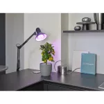 Lampa LED STAR GROW T LAMP 10W Clear E27