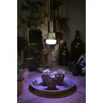 Lampa LED STAR GROW T LAMP 10W Clear E27