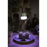 Lampa LED STAR GROW T LAMP 20W Clear E27