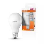 Lampa LED STAR CLASSIC A 19W 840 Frosted E27