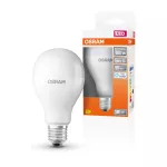 Lampa LED STAR CLASSIC A 19W 865 Frosted E27
