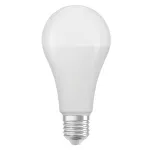 Lampa LED STAR CLASSIC A 19W 865 Frosted E27