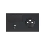 Simon 100 W100-10020262X-238 Panel 2-krotny: 1 gniazdo + 1 ściemniacz + 1 ładowarka USB C (lewa strona); czarny mat