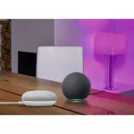 SMART+ MATTER Globe 95 100 14W 827...865 Multicolor E27