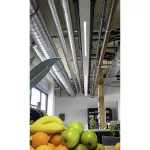 Oprawa LINEAR INDIVILED INFILL INFILL 600 WT