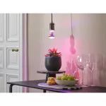 Lampa LED STAR GROW LAMP 7.5W E27