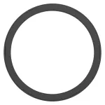 Wymienny pierścień DOWNLIGHT COMFORT EXCHANGEABLE RING D250 BK