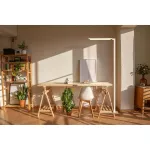 Oprawa FLOOR STANDING COMPACT SN CH V 88W 840 WT