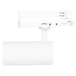 Oprawa TRACKLIGHT SPECIAL FOOD LED 30W 930 24DEG WT FRUIT