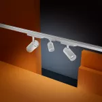 Oprawa TRACKLIGHT SPECIAL FOOD LED 30W 950 24DEG WT VEG