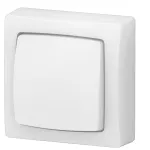 OTEO - ŁĄCZNIK DWUBIEGUNOWY BIAŁY 10AX-250V~