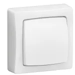 OTEO - ŁĄCZNIK DWUBIEGUNOWY BIAŁY 10AX-250V~