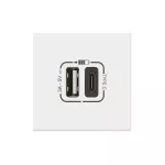 MOSAIC - Gniazdo USB typ A + typ C z szybkozłączem