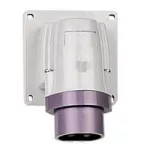 P17 WTYCZKA ODBIORNIKOWA 16 A/24 V/2P IP44