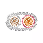 KN4L-S NiCr/Ni KCA 2X1,5 DIN oval