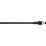 AB-C3-M12MS-10,0PUR