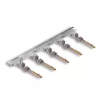 EPIC® D-Sub SCBG AU G3 0.22-0.56 (500)