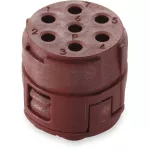 EPIC® SIGNAL M23 7P (5)