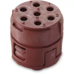 EPIC® SIGNAL M23 7P BLMS (20)