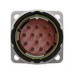 EPIC® SIGNAL M23 KIT A1 N 12P SLM
