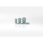 SKINTOP® ST PG 16 + GMP-GL SGY 10ST