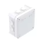 T 60 RW Puszka odgałęźna z wprowadzeniami