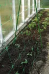 BRADAS SIATKA PODPORA DO ROŚLIN PNĄCYCH PLANT NET 2x20m