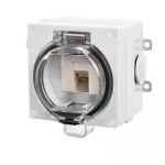 OYSTER IP66 gniazdo 1xkomputer RJ45 kat6 w obudowie hermetycznej szary