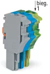 Gniazdo 1-przewodowe Push-in CAGE CLAMP®